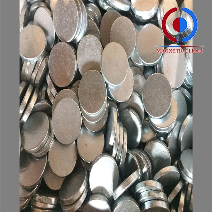 Pembesar Suara Magnet Alnico